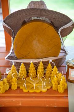 DSC_1095 (1)